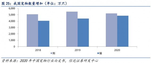 初学者养狗应该注意些什么？看到这五点，很多人感叹学到了